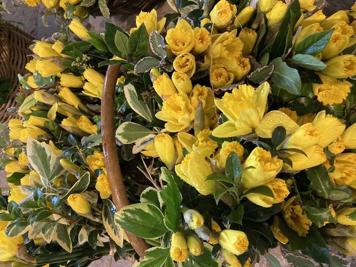 This is what 250 #MotheringSunday bunches of daffodils look like ready for tomorrow’s services. Thanks to the @WinCathedral Flower team (some of them pictured here) for their time and talent! #MothersDay #gratitude