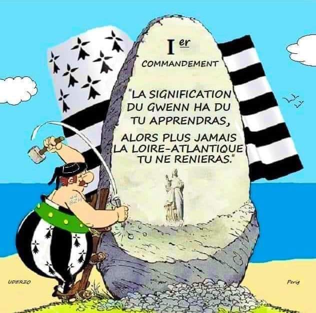 Petit rappel à tous les bretons administratifs fans du Gwenn-ha-du 🤍🖤
#44bzh #paysnantaispaysbreton #B5