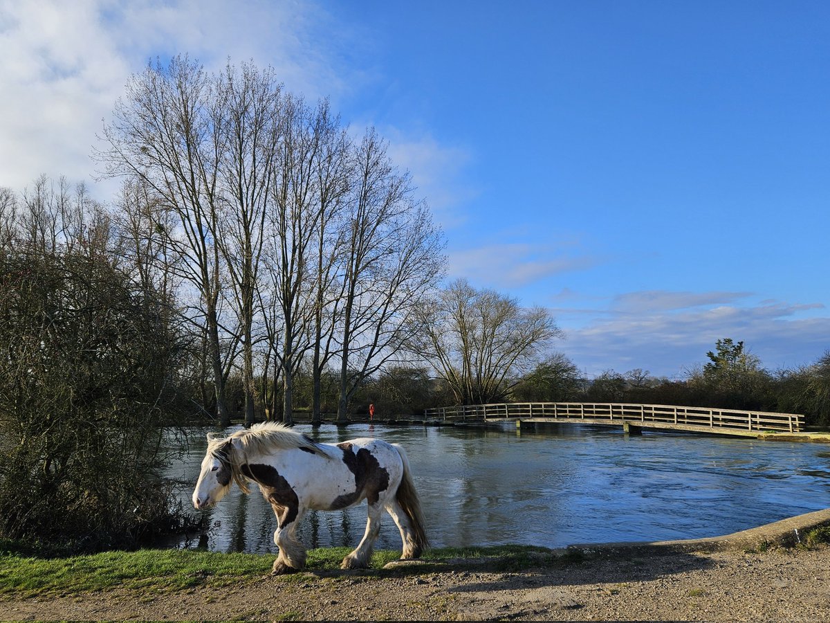 Prof Gina Neff tweet media