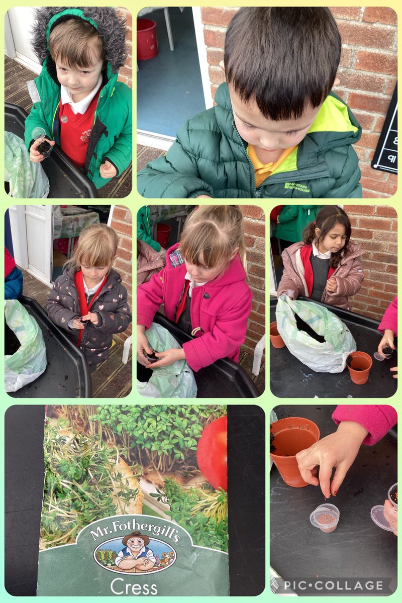 Our new RE topic is all about growing in God’s love during Lent and Easter. We planted cress seeds and have placed them in different areas to see how well they grow #CatholiclifeandmissionYES #crosscurricular #comeandseere
