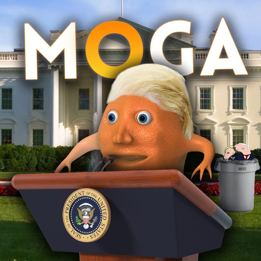 OrangSol's tweet image. Make $ORANG G R E A T again