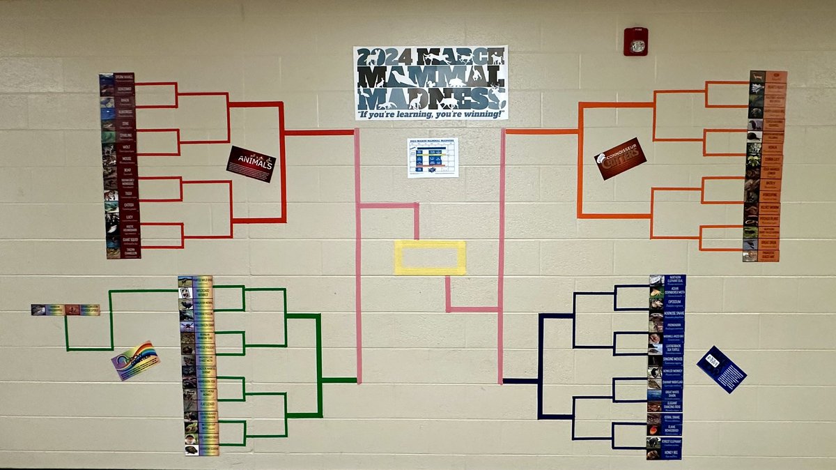JadeColley9's tweet photo. We are ready! #2024MMM https://t.co/trni6J6tPU