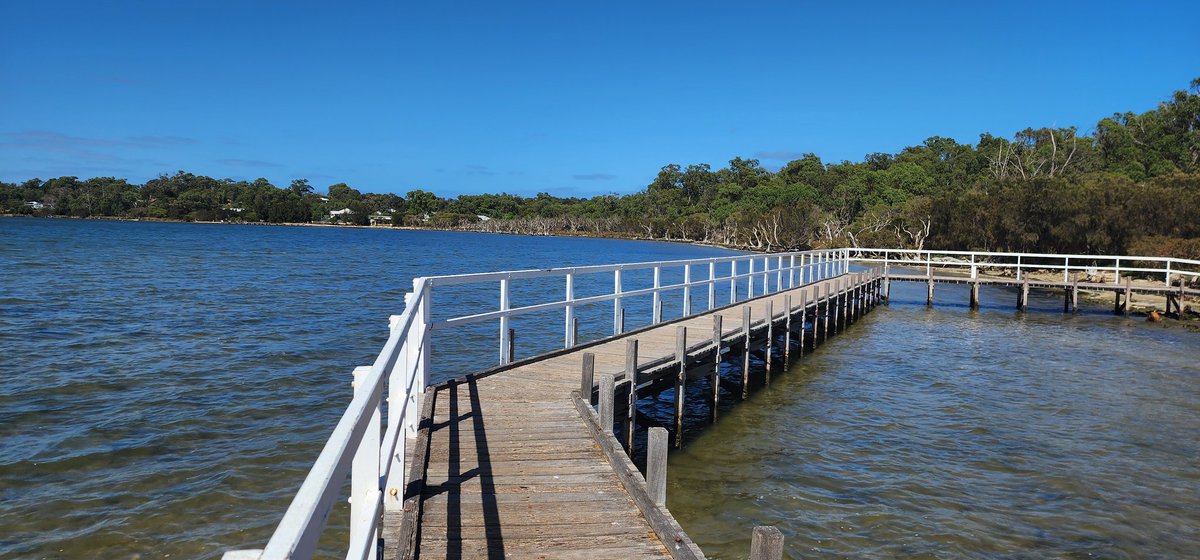 Shelley71619801's tweet photo. Gorgeous day out @ Warrengup Spring Reserve &amp; later @ Island Point Reserve. #dogdayout https://t.co/FaEaNgXwjP
