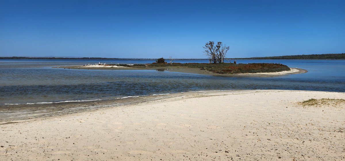 Shelley71619801's tweet photo. Gorgeous day out @ Warrengup Spring Reserve &amp; later @ Island Point Reserve. #dogdayout https://t.co/FaEaNgXwjP