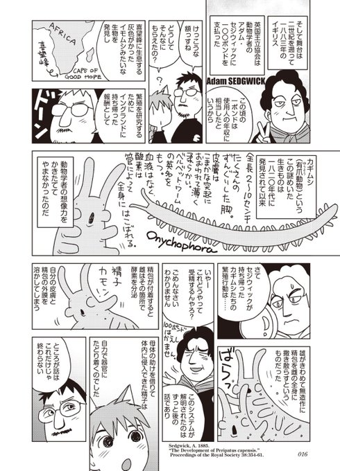 素敵。私も会いたいです。図はカギムシの生殖行動について(2019『ダーウィンの覗き穴』より) 