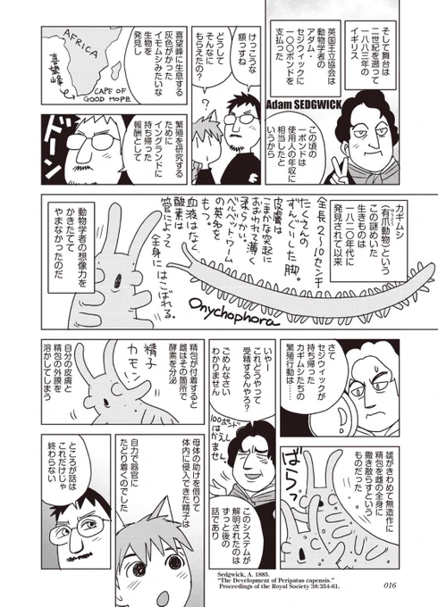 素敵。私も会いたいです。図はカギムシの生殖行動について(2019『ダーウィンの覗き穴』より) 