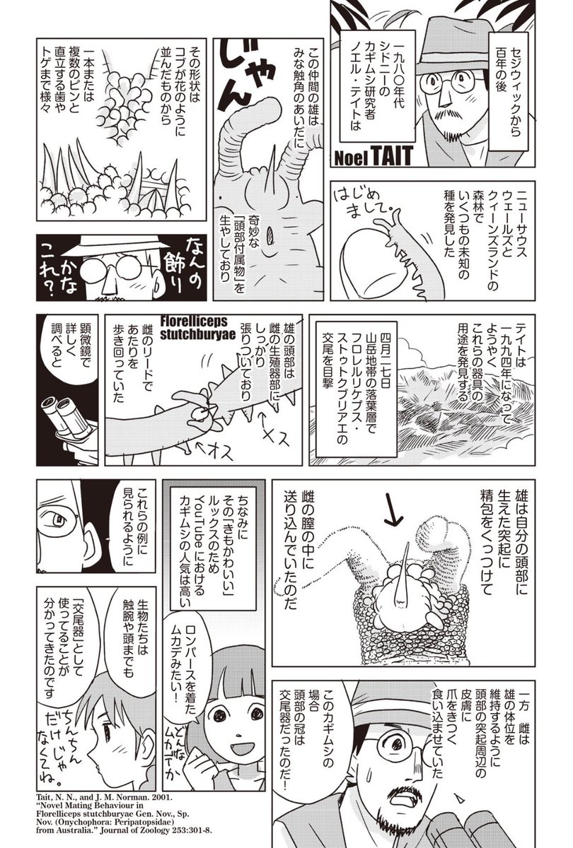 素敵。私も会いたいです。図はカギムシの生殖行動について(2019『ダーウィンの覗き穴』より) 