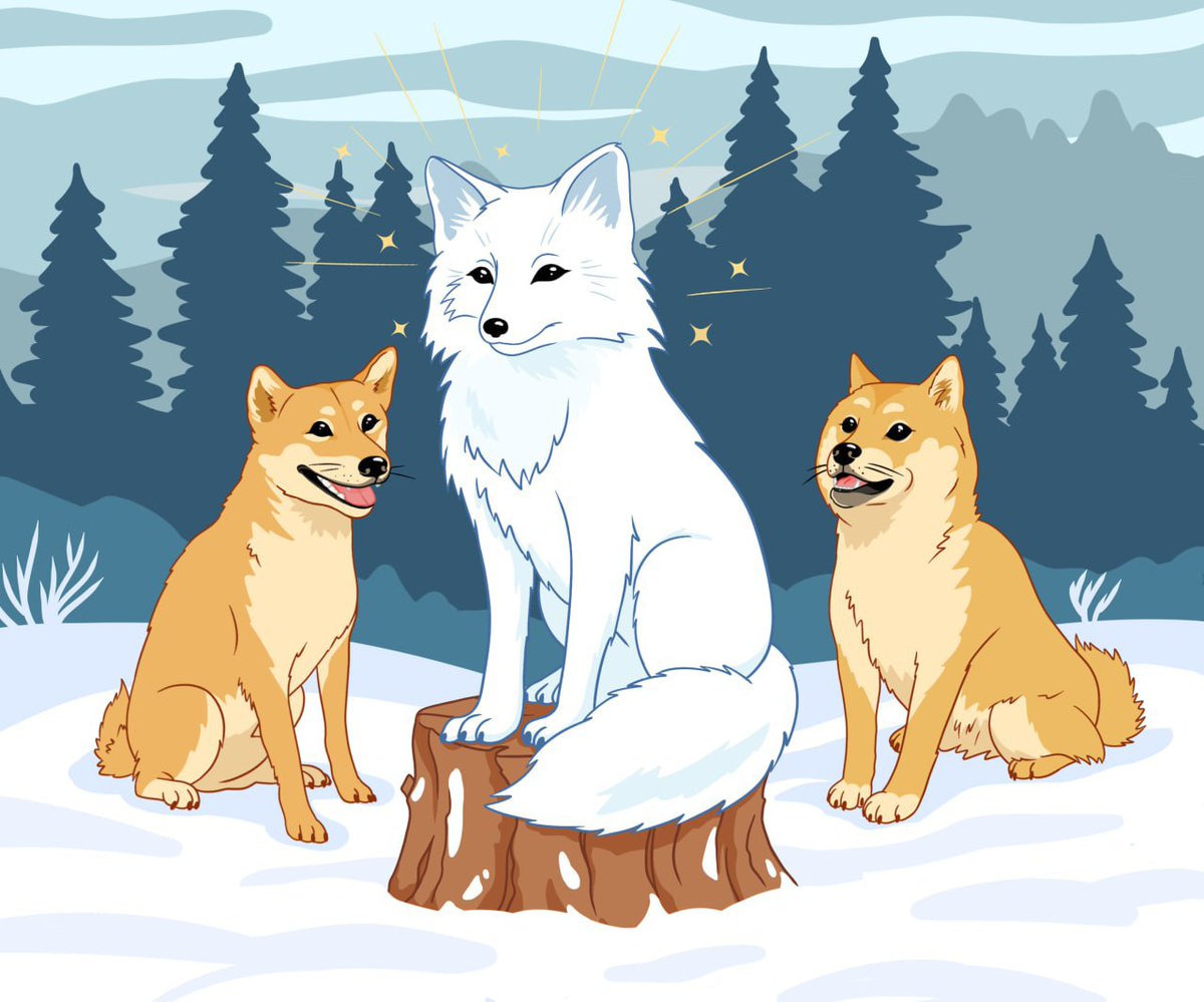 TailofIcy's tweet photo. https://t.co/JbxMI1VShR https://t.co/cdvbYRNRNI