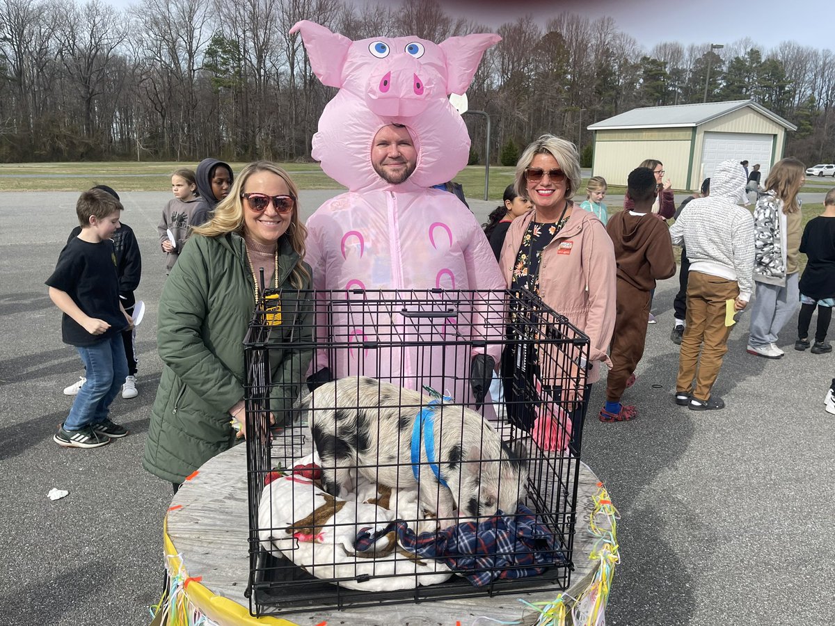 Kim57986771's tweet photo. Yes, I kissed a pig to raise money for Special Olympics. 💋The whole school inclusivity of this week was unmatched. #ModelofExcellence https://t.co/NcLOp3s0fs