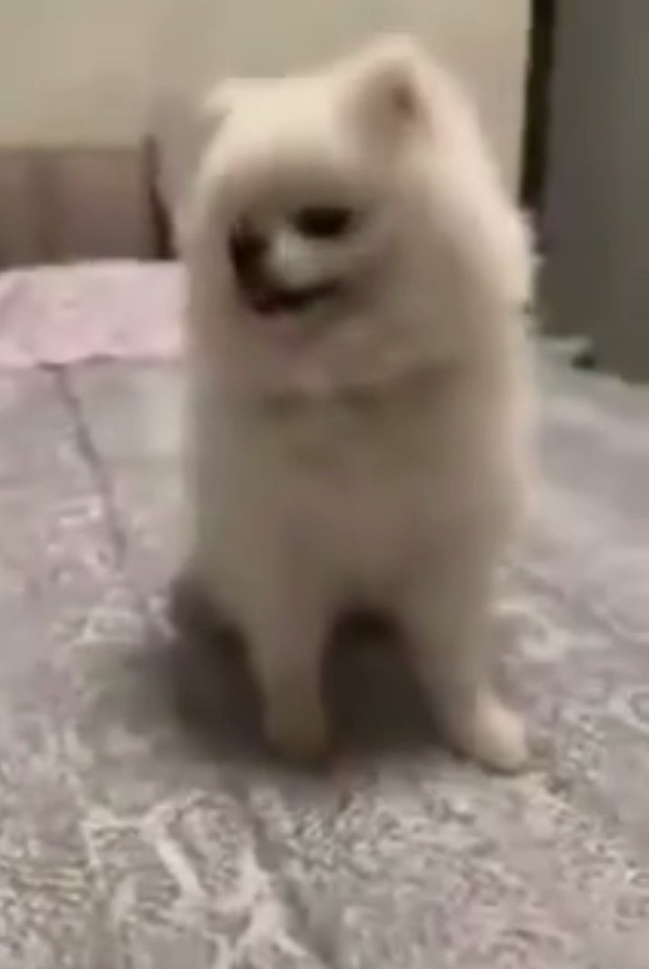 checkPG's tweet photo. @airoldi43712 @GiuliaSalemi93 Stesso letto e la coperta e' uguale 🤣 che ci fa in camera da letto il tartufo nero #PRELEMI https://t.co/lrbLJa4pdw