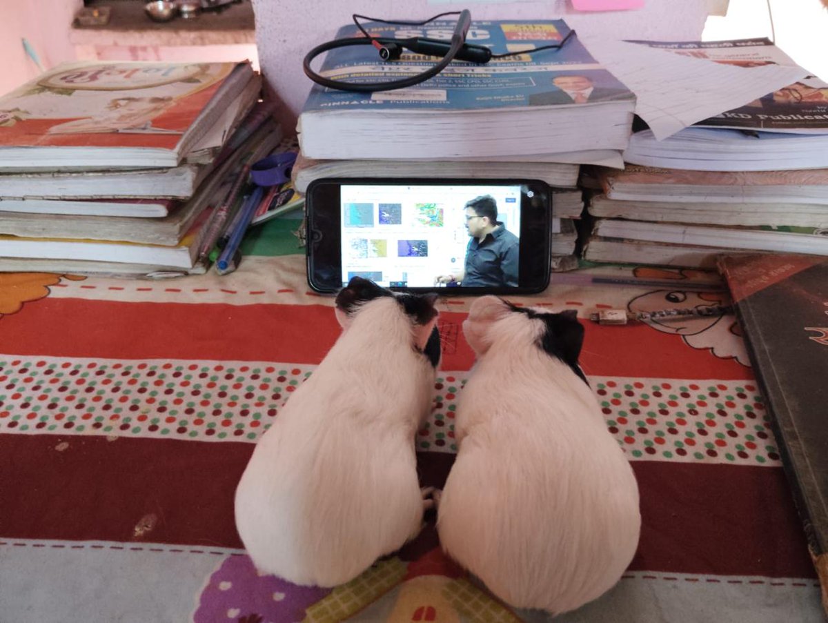 kaankit's tweet photo. बहुत ही स्पेशल दर्शक  !! ❤️ 🐇 https://t.co/qvBgOWUL9B