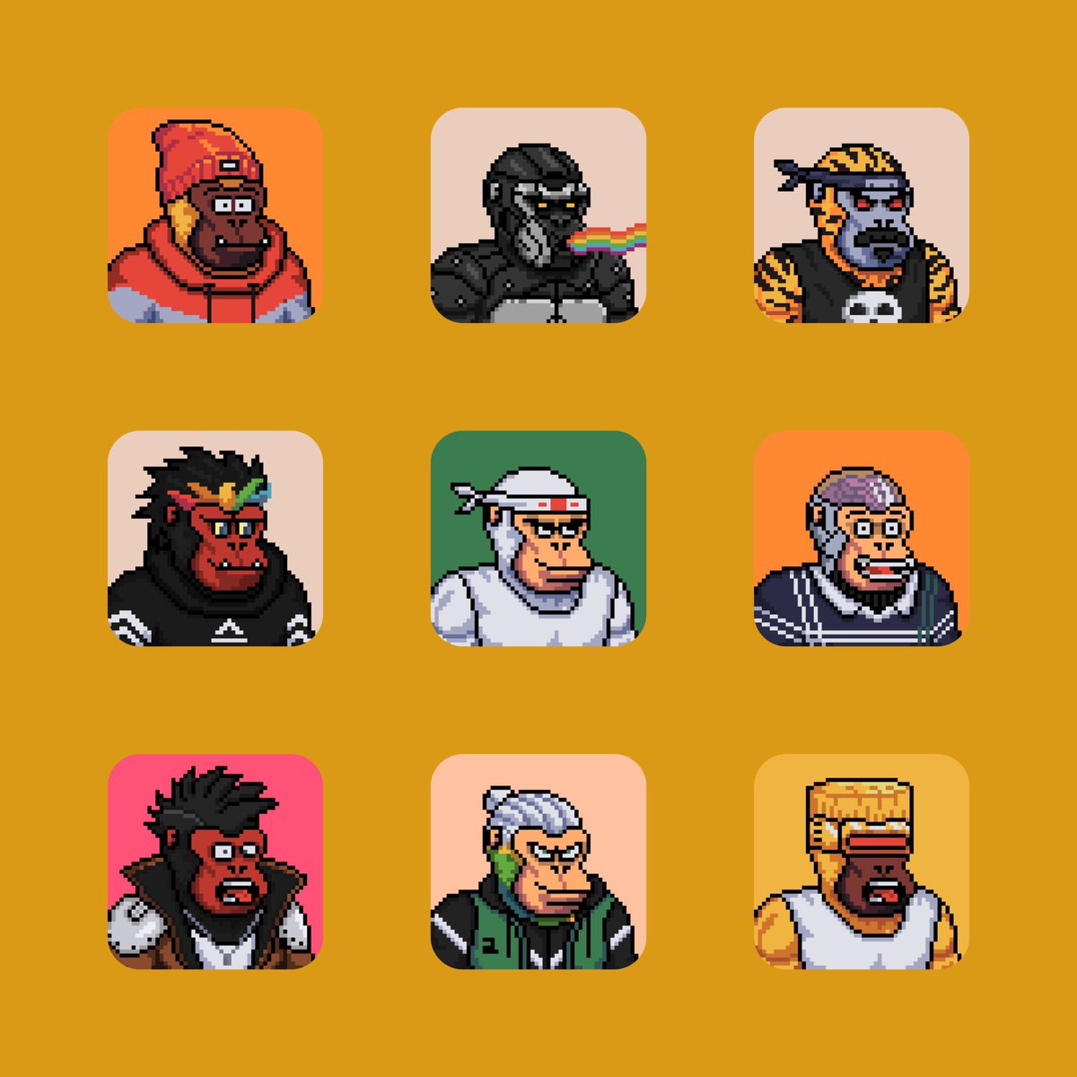 NodeChimpz's tweet photo. Launching Today Family 🦍🟧

- 362 traits
- 2222 supply
- Price : 0.0002 BTC 
- Low cost inscription 

08:00pm UTC

Where? https://t.co/mAR77cbYkq

#Bitcoin #Ordinals https://t.co/LNCObc9Bvh