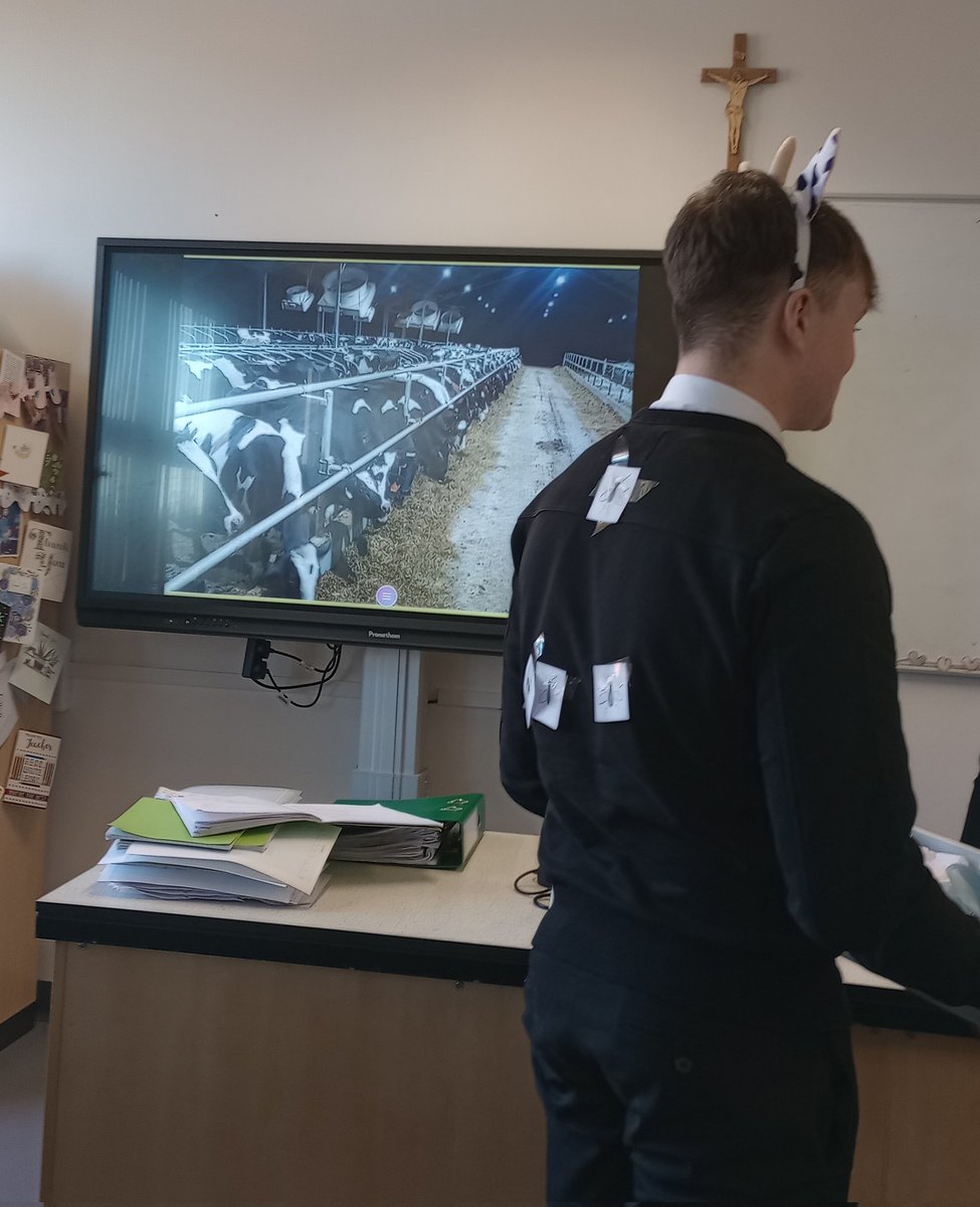 StJoAcadSci's tweet photo. Higher Biology impressed Ms Horrey by demonstrating their understanding of behavioural indicators of poor animal welfare. Group presentations included costumes, props and sound effects as well as some spectacular acting! @StJoAcad #courage #ambition #respect https://t.co/OqAjysB64j