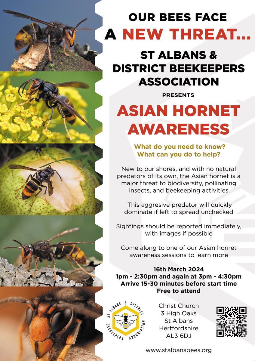 StAlbansBees's tweet photo. @BimAfolami Hi Bim, we are hosting an Asian Hornet Awareness event next Saturday 16th March. Would be great if you could attend, however we know you’re a busy man. Pls RT for visibility, we’d greatly appreciate it. AH is a grave threat to our wildlife, pollinators and ecosystems https://t.co/BQ4AOSTbto