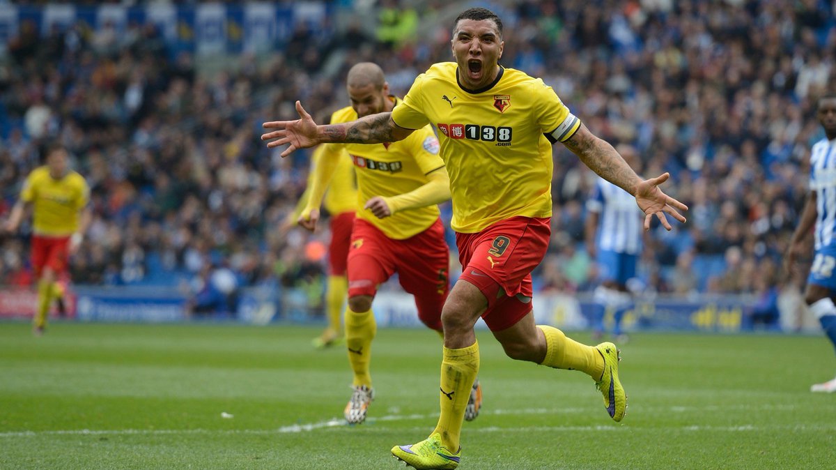 Aaron 🐝🐅 tweet media