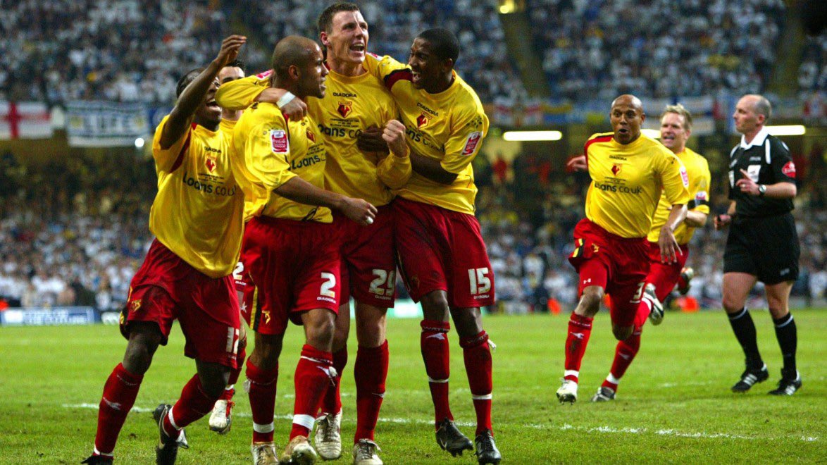 Aaron 🐝🐅 tweet media