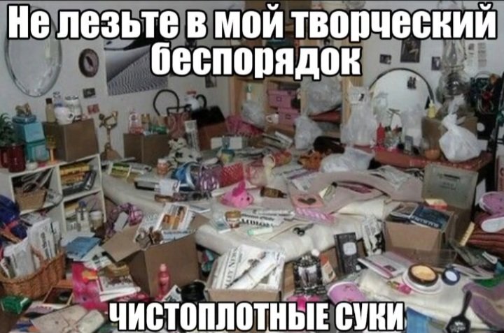 /вика ну ладно ежевика/иви оливка;3🇺🇦 (@zelenyapapaia) on Twitter photo 
