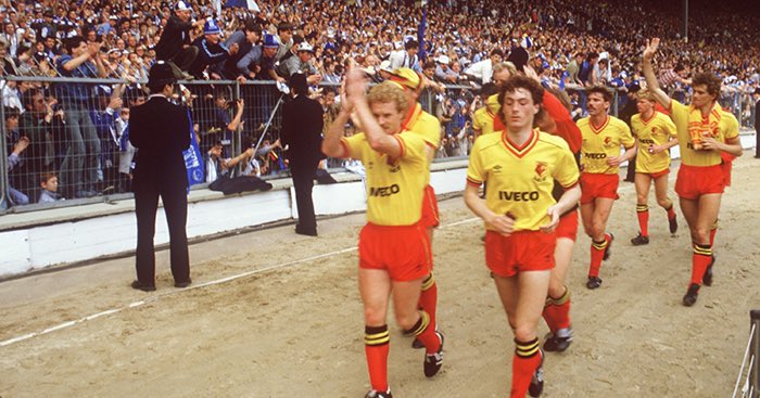 Aaron 🐝🐅 tweet media