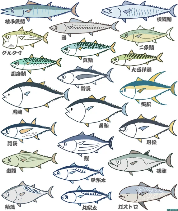 SUZURIのニンニンSALEが始まっています。3月17日(日)いっぱいまでTシャツ類3アイテムが800円OFF! アパレルの割引は貴重! この機会によろしければぜひ。サバ科、サメ、イラスト漢字にコウモリほか色々あります。  