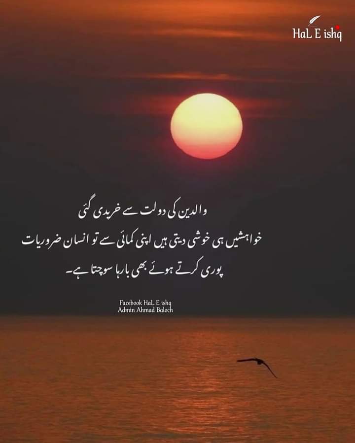 Muhammad Zain tweet media