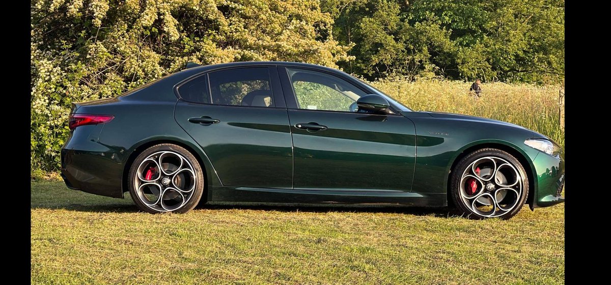 Noel Doidge tweet media