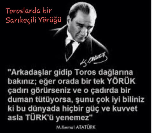 M🇹🇷K🇹🇷A🇹🇷🐞 tweet media