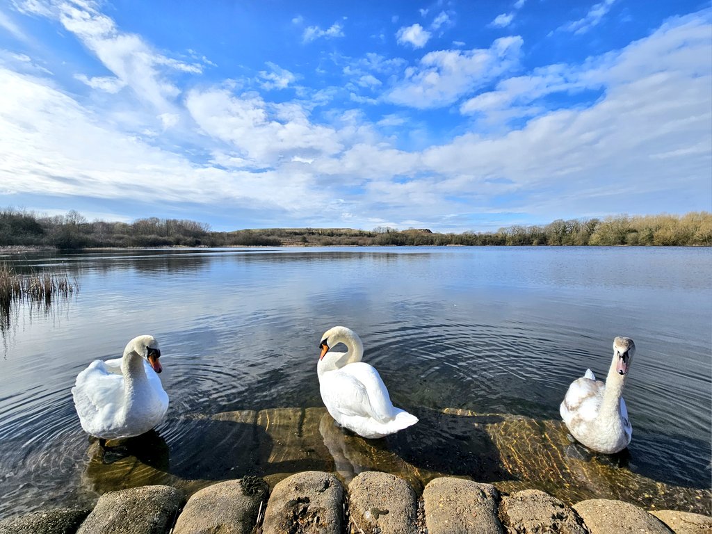 🦢🦢🦢 #Bletchley #ScenesFromMK #LoveMK #MiltonKeynes #StormHour #ThePhotoHour @scenesfromMK @StormHour @ChrisPage90 @MetMattTaylor @MeteoredUK