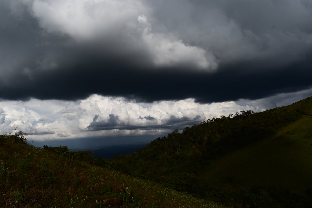 vishwaroopa19's tweet image. #NewProfilePic