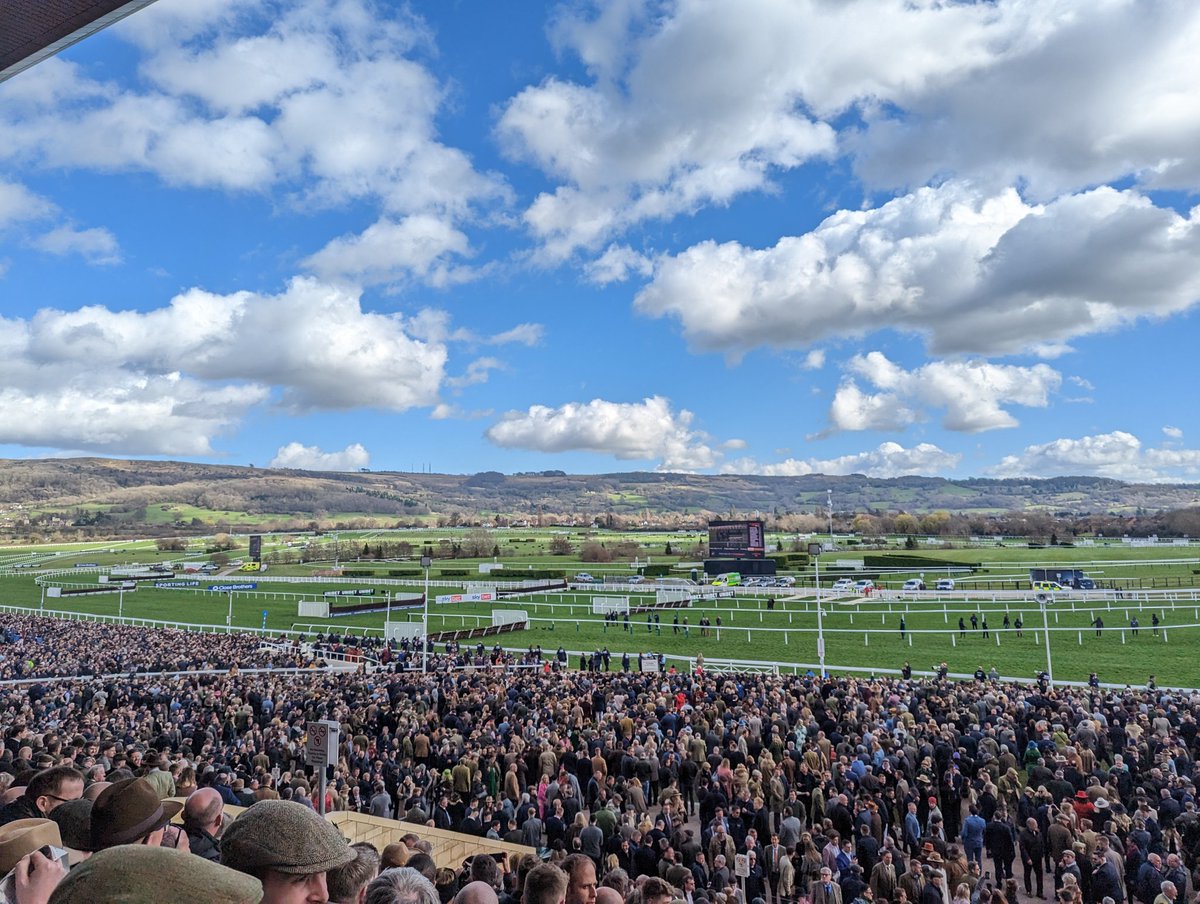 ⬇️ #CheltenhamFestival Horses 𝗡𝗢𝗧 Confirmed - Day 4 ❌

▪️𝘛𝘩𝘦 𝘧𝘰𝘭𝘭𝘰𝘸𝘪𝘯𝘨 𝘏𝘰𝘳𝘴𝘦𝘴 𝘩𝘢𝘷𝘦 𝘯𝘰𝘵 𝘣𝘦𝘦𝘯 𝘤𝘰𝘯𝘧𝘪𝘳𝘮𝘦𝘥.

𝗧𝗿𝗶𝘂𝗺𝗽𝗵:
Anzadam
Bottler'secret
Bright Legend
Casheldale Lad
Givemefive
Golden Move
Karafon
Lark In The Mornin
Maasai Mara
Mr