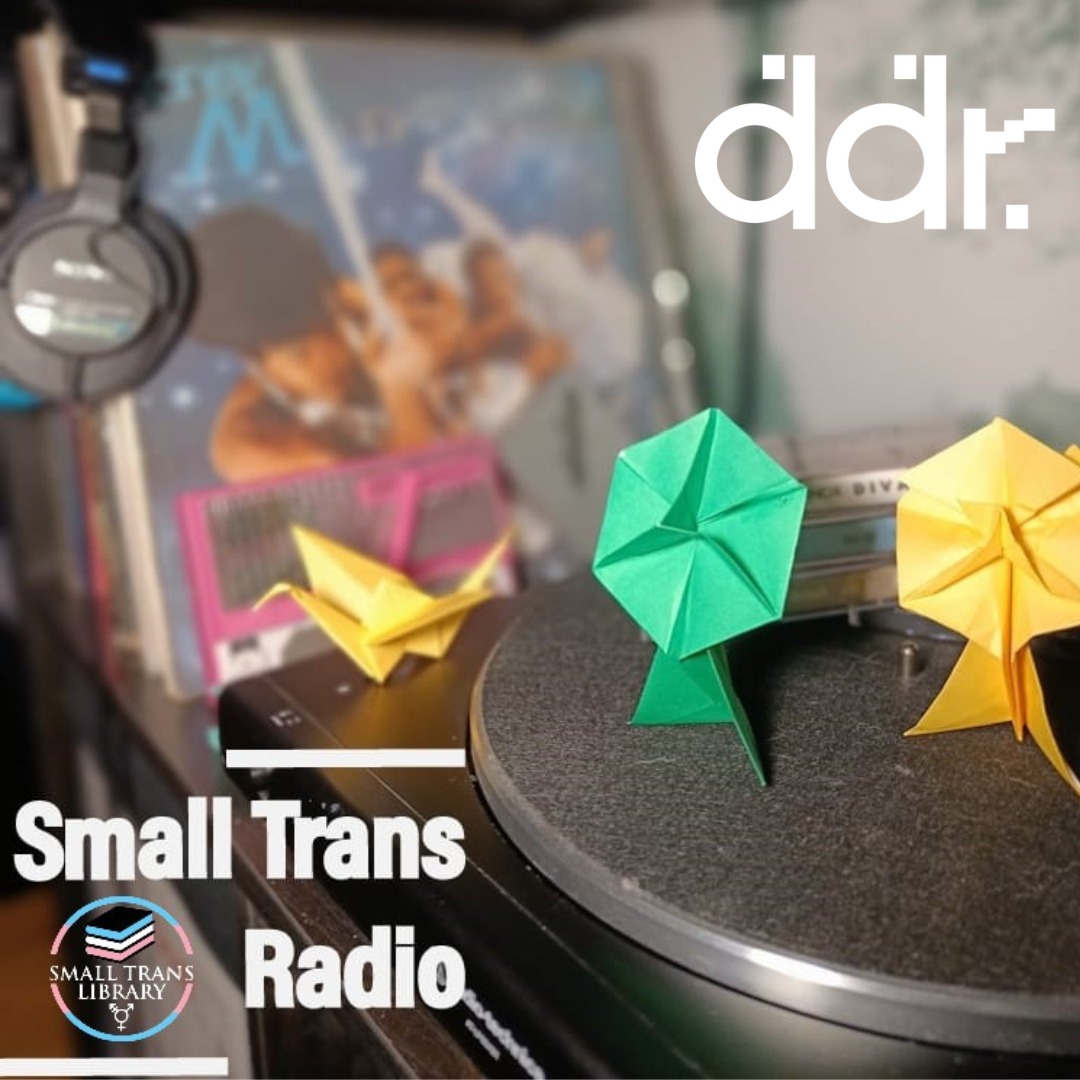 🚨🚨🚨 NEW SHOW ALERT 🚨🚨🚨 Welcome to Small Trans Radio! A project by Small Trans Library Dublin to connect Irish trans communities across Ireland and beyond through the airwaves. Join librarians Greta and Méabh on Sunday at 11am for broadcast Nr.1 ♥️ @translibdub