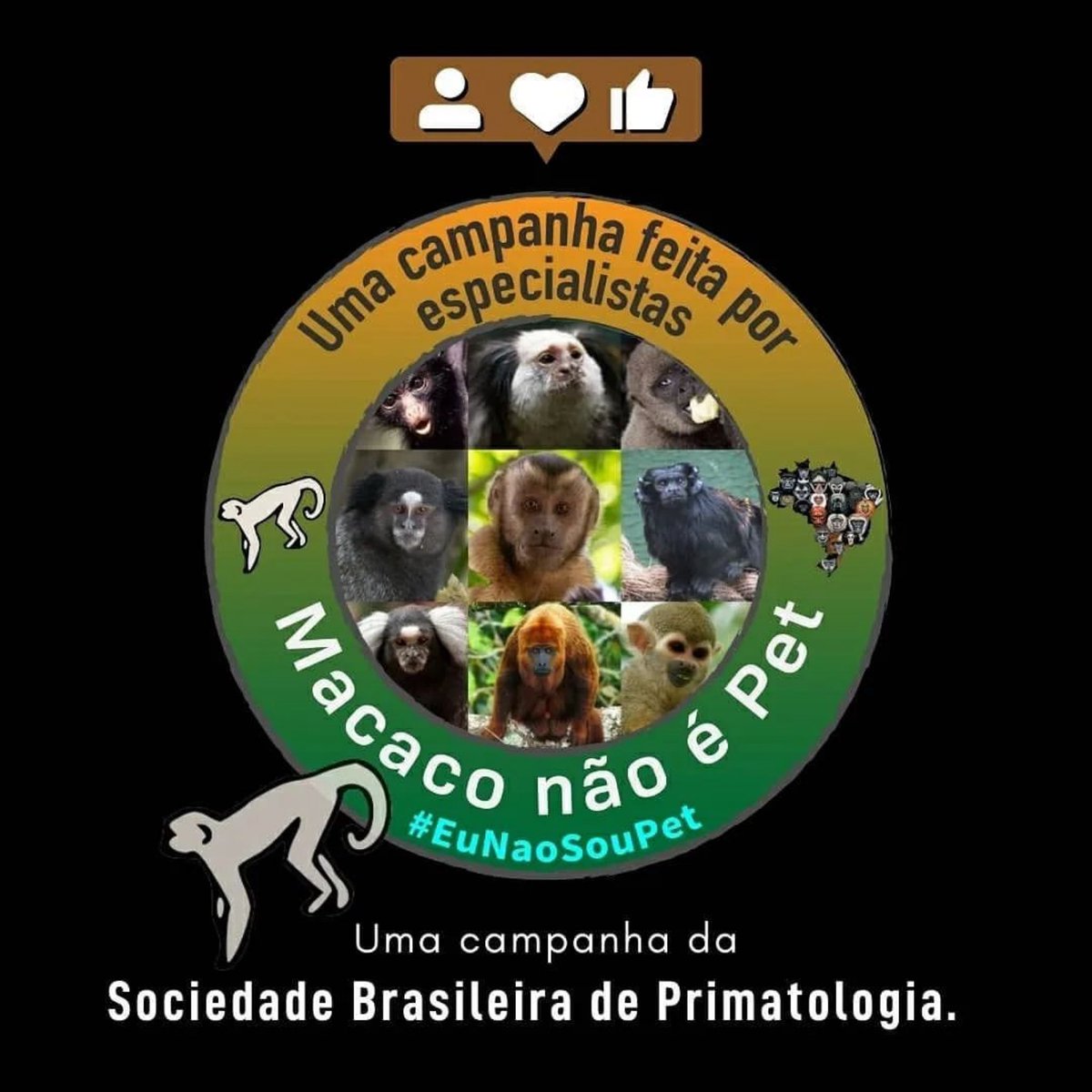 🐒 Macacos nascidos em cativeiro são automaticamente domésticos? 🤔

Vamos desmistificar essa ideia errônea difundida por pessoas que colocam interesses econômicos acima do bem estar dos animais!

 #MacacoNãoÉPet #primatologia #primata #primatas #primatologiabrasileira #animal