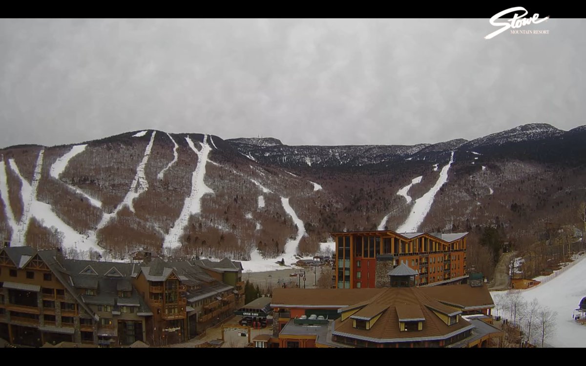 Tim Kelley tweet media