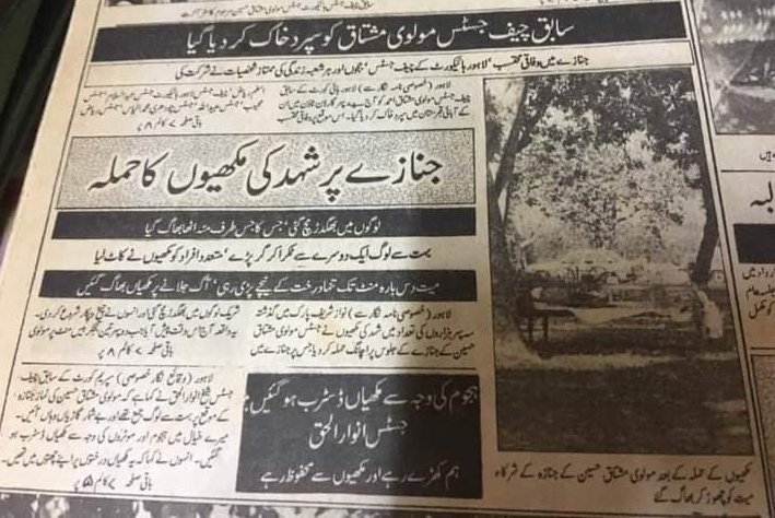 پاکستانی عدالتی  نظام پہ عدم اعتماد کرتے ہوئے شہد کی مکھیوں نے سالوں پہلے اپنا فیصلہ  سنا دیا تھا ۔
<a href="/TeamPakPower/">Team Pakistan Power</a> 
#PTI_Folllowers