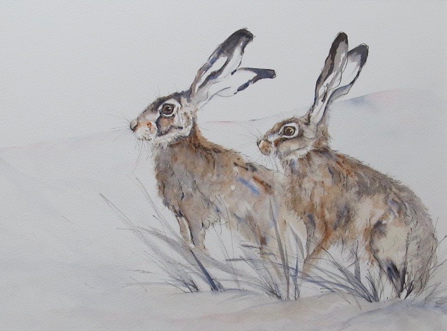 Watercolour...... hare alert! ❤️  #hares #britishwildlife