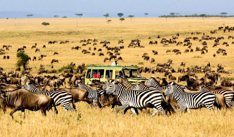 There's a way Africa's simple natural beauty rejuvenates life
#ThePeople #TheLandscape #TheAnimals #TheWeather 

#Safari #Africansafari #explorewilderness #ExploreUganda #VisitRwanda #VisitKenya #VisitTanzania

📸courtesy