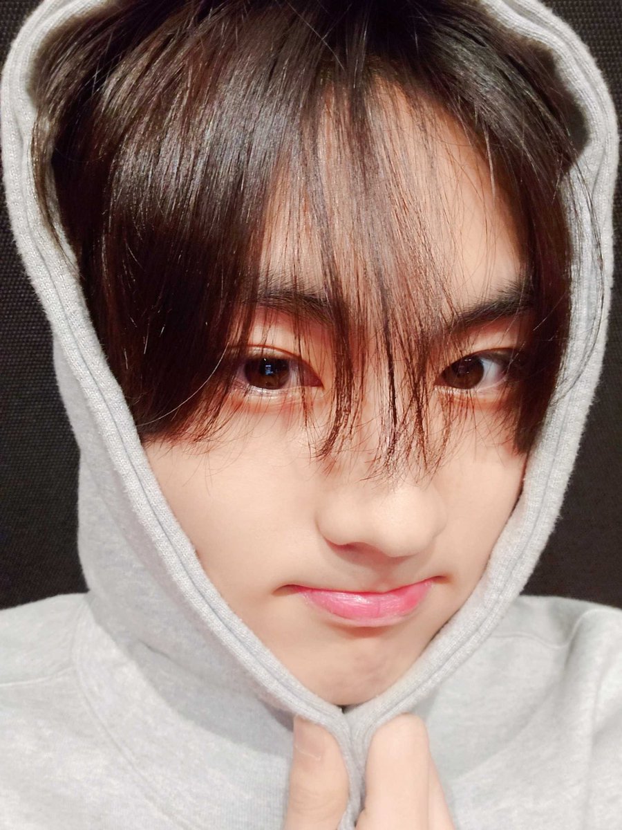 양바오잖아 🐼