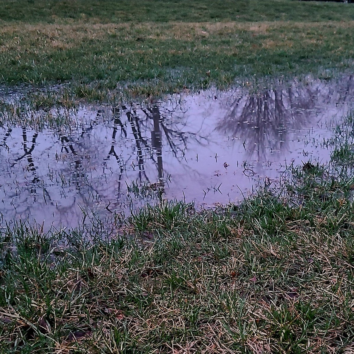 SueOestmann's tweet photo. #PuddleReflections Waiting for the #SunToRise (part of the quote on the back of my @UnearthedEmp medallion) #MorningWalk 39F #Dawn #Sunrise #BestTimeOfDay #TakeAnotherShot #DoItForYou #GetAfterIt https://t.co/9aWpYxAMoq