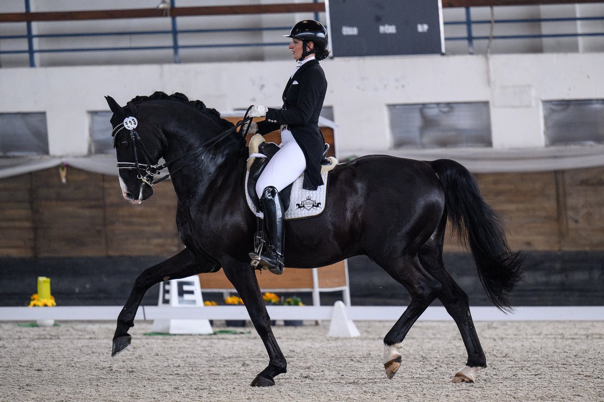 dressage24pl's tweet photo. CDI-W Grand Prix Motesice 08/03/24 
🥇 Borja Carrascosa 🇪🇸 SIR HUBERT NRW 71,674 
🥈 Susanne Krohn 🇵🇱 TITOLAS 69,478 - kwalifikacja olimpijska ✔️ 
🥉 Żaneta Skowrońska-Kozubik 🇵🇱 LOVE ME 67,826 - kwalifikacja olimpijska ✔️ 
Gratulacje ! fot. (c) SN Photography https://t.co/TfB4Ymzz0l