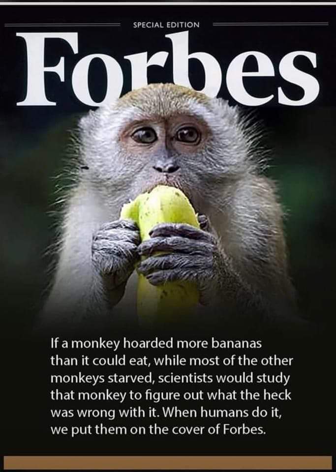 Anwar_Hyd_'s tweet image. #LogicalThinking 🐒