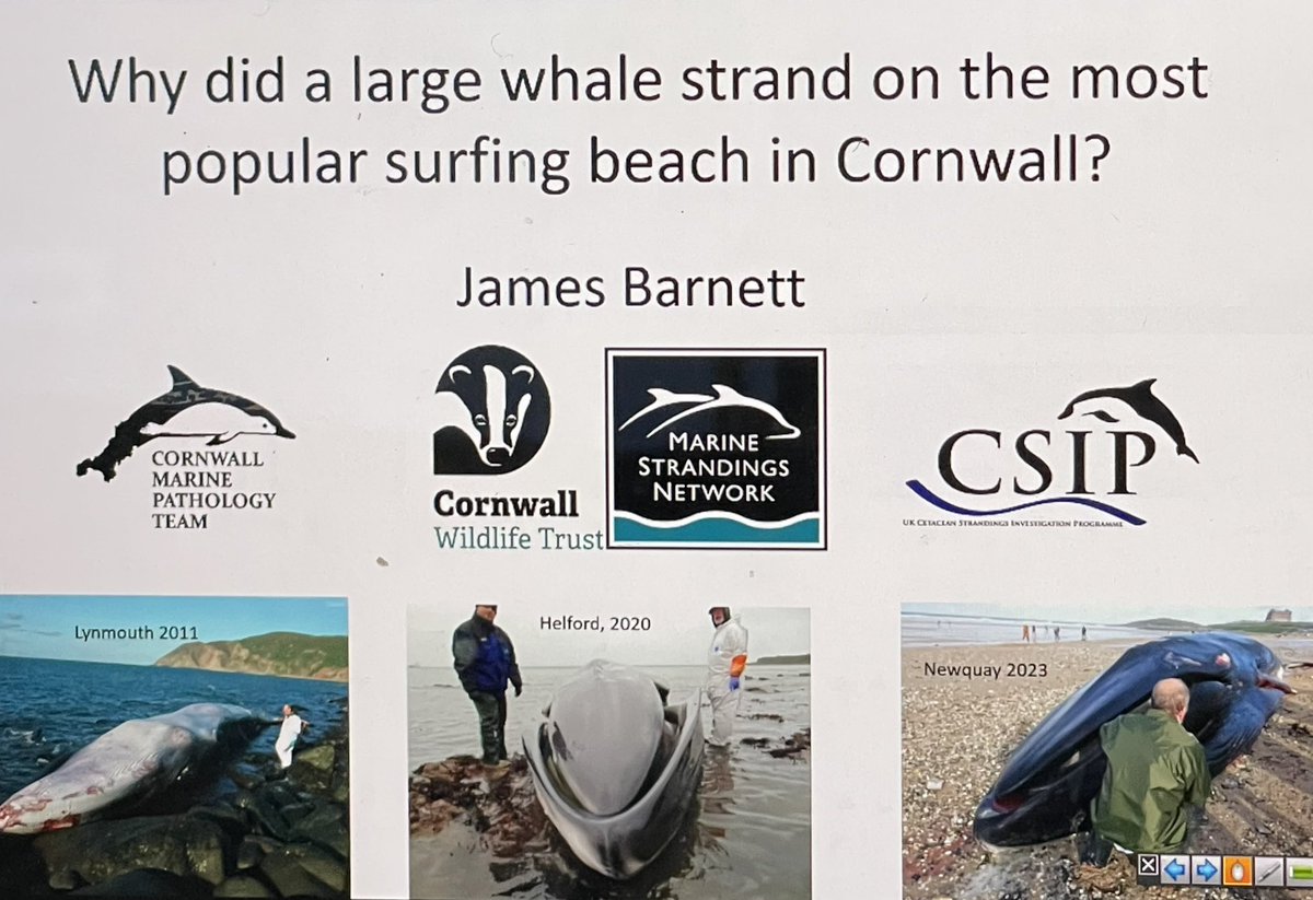 SeaSplashUK's tweet photo. So much to learn from James! 

#marinestrandingsnetworkforum2024 https://t.co/dxEASTSD8Y