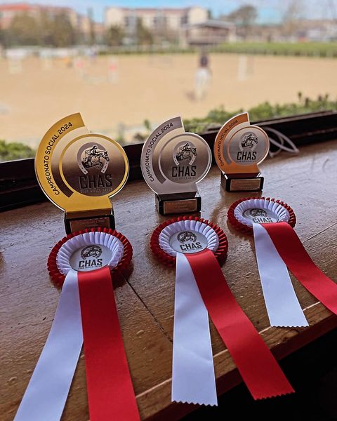 mfan_gc's tweet photo. 🇪🇸 #CHASGijón⎟Calentando motores para el primer concurso clasificatorio del Campeonato Social del Chas 2024.#cabalandiatiendahipica #prodat #ferastur #bangoseguros #automonesaartime #probite #plagastur #santoristudio #hospitalcovadonga #visalia #federacionhipicaasturiana https://t.co/OoTpuPhQwO