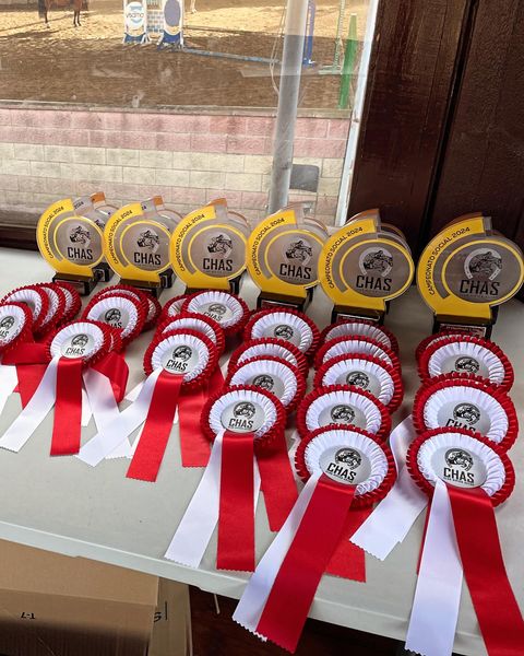 mfan_gc's tweet photo. 🇪🇸 #CHASGijón⎟Calentando motores para el primer concurso clasificatorio del Campeonato Social del Chas 2024.#cabalandiatiendahipica #prodat #ferastur #bangoseguros #automonesaartime #probite #plagastur #santoristudio #hospitalcovadonga #visalia #federacionhipicaasturiana https://t.co/OoTpuPhQwO