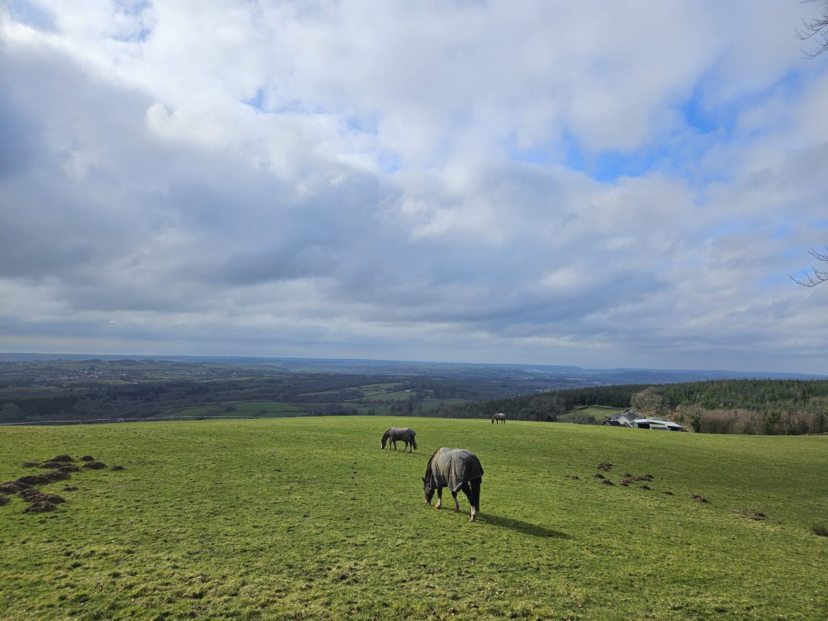 Gareth John tweet media