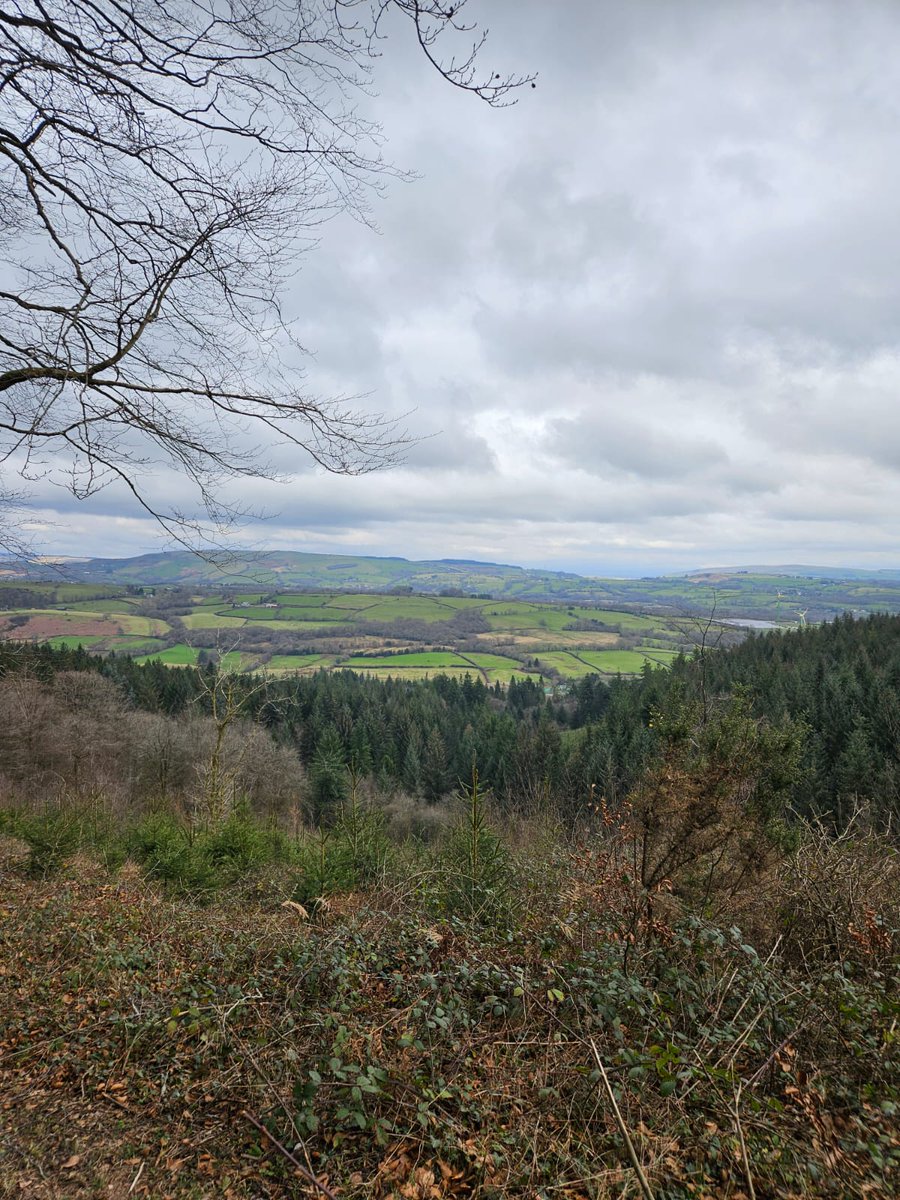 Gareth John tweet media