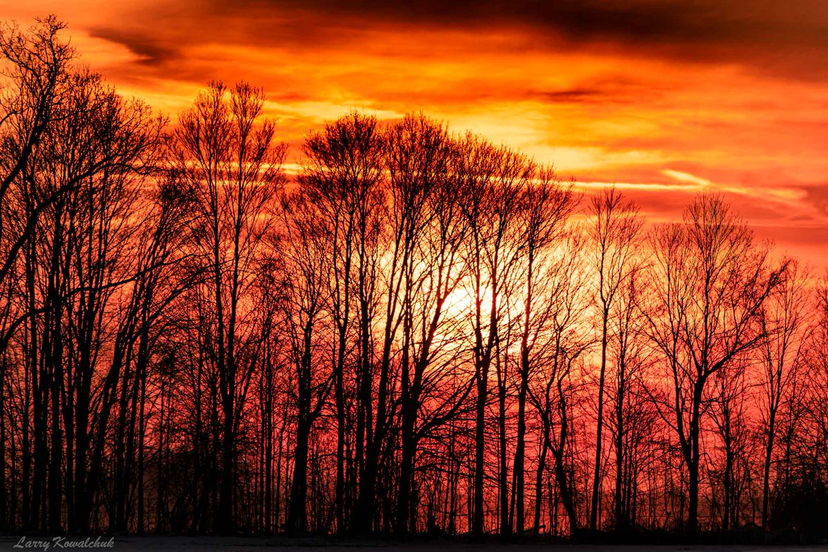 Bare Trees Sunset #sunset #trees #sky #OntarioPhotographer #ThamesCentrePhotographer #sunsetphotography #NaturePhotograhpy