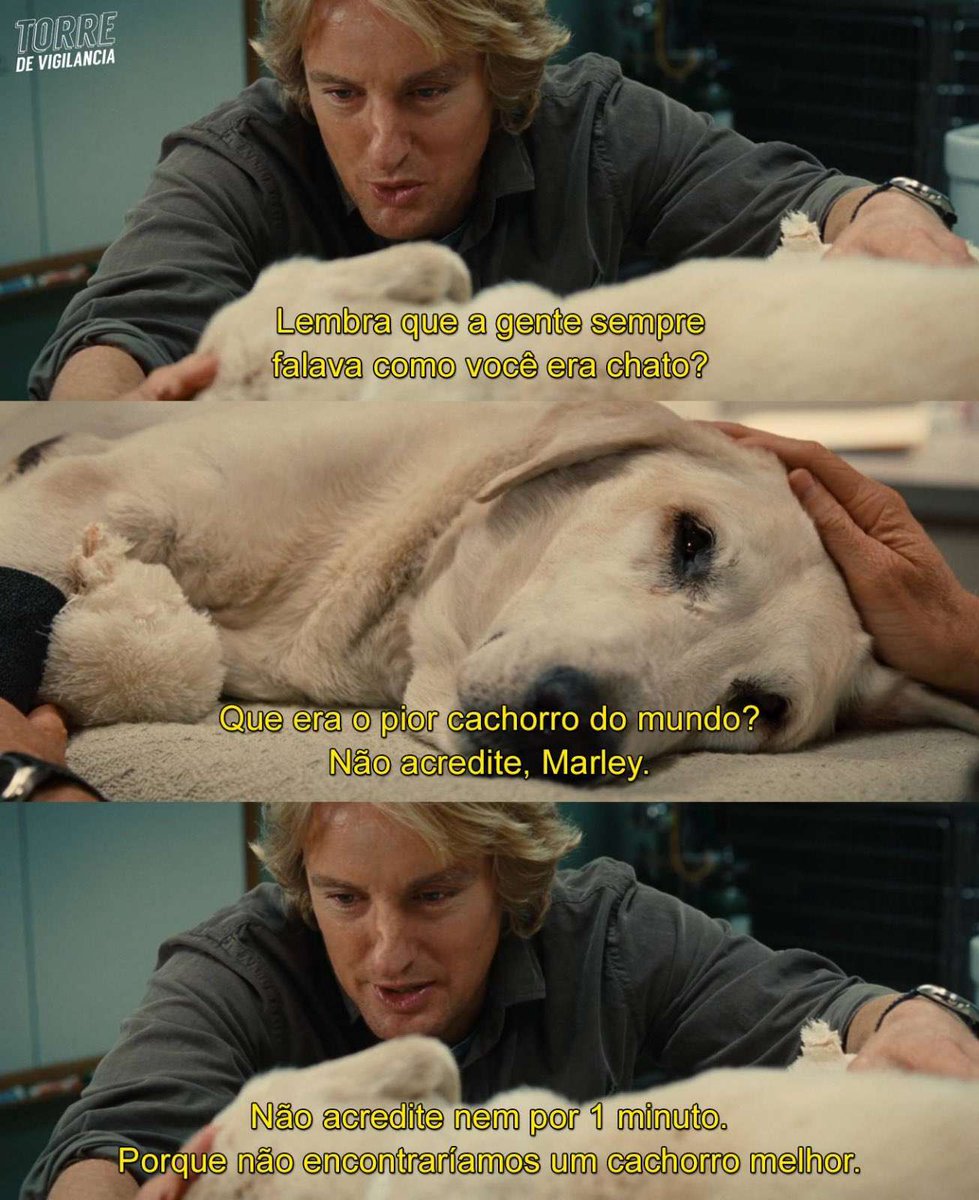 Cenas_Chorar's tweet photo. O melhor cachorro do mundo

🎥: Marley &amp; Eu (2008) https://t.co/eSrpWOGD19
