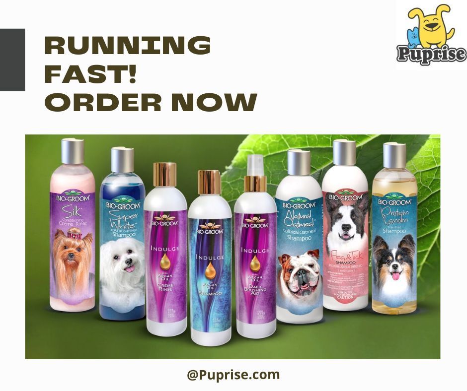 Bio-Groom is the name of premium pet grooming products. All of our products are made in the USA with the finest ingredients available known for gentleness. #Puprise #petstore #petparents #petsupplies #petlovers #petfood #petfood #petfriendly #petscorner #petsofinstaworld