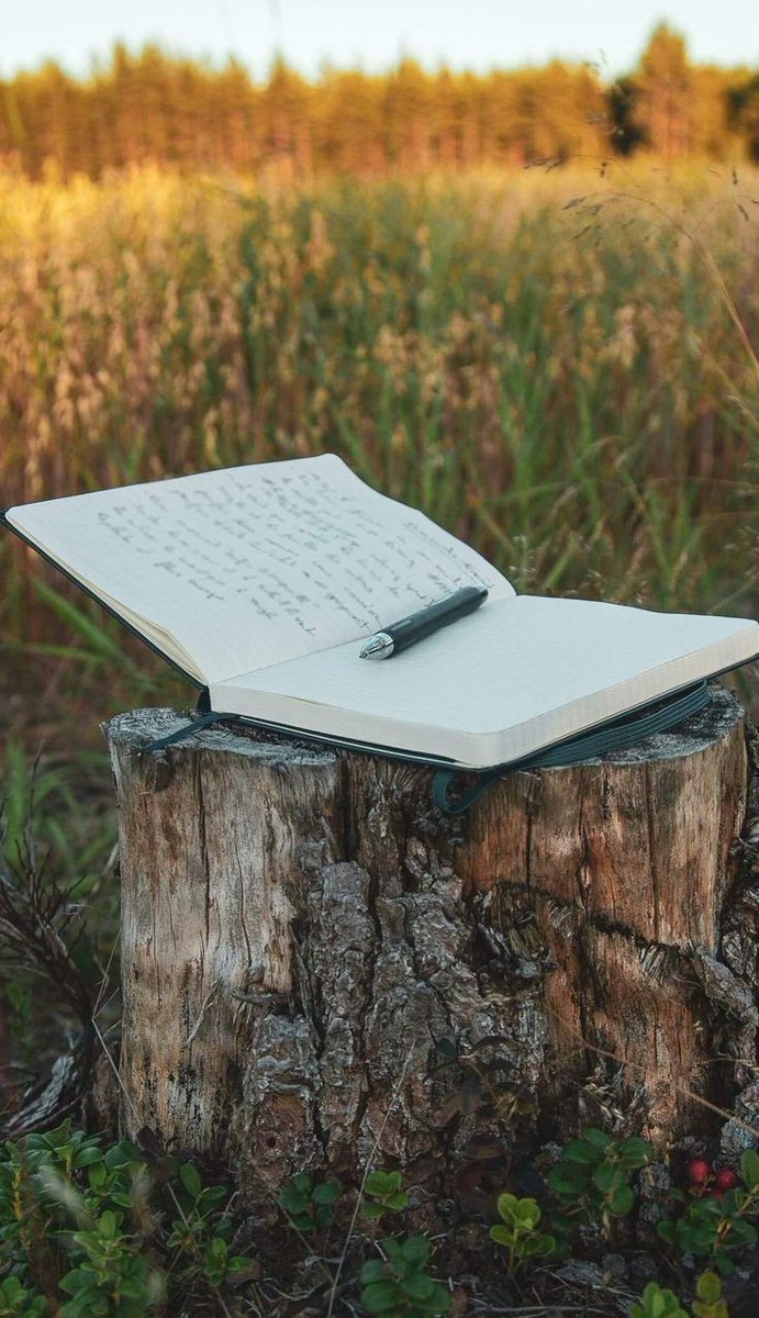 가끔은 
철이 안 들었으면 좋겠다

힘들어도
잘 참아내고

어려워도
잘 견뎌내고

나빠도
잘 이겨내는 

내 자신이 
기득 할 때도 있지만
때로는 안스러울 때가 있다

철없는 아이처럼
철없이 살고 싶을 때가 있다..🖋

-털어봐 아프지않은 사람있나-