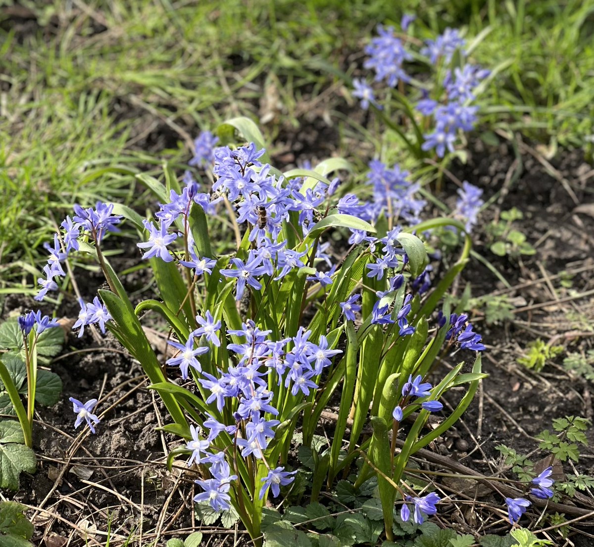 S_Chelvan's tweet photo. #OxfordSpring https://t.co/jFA4dqGggS