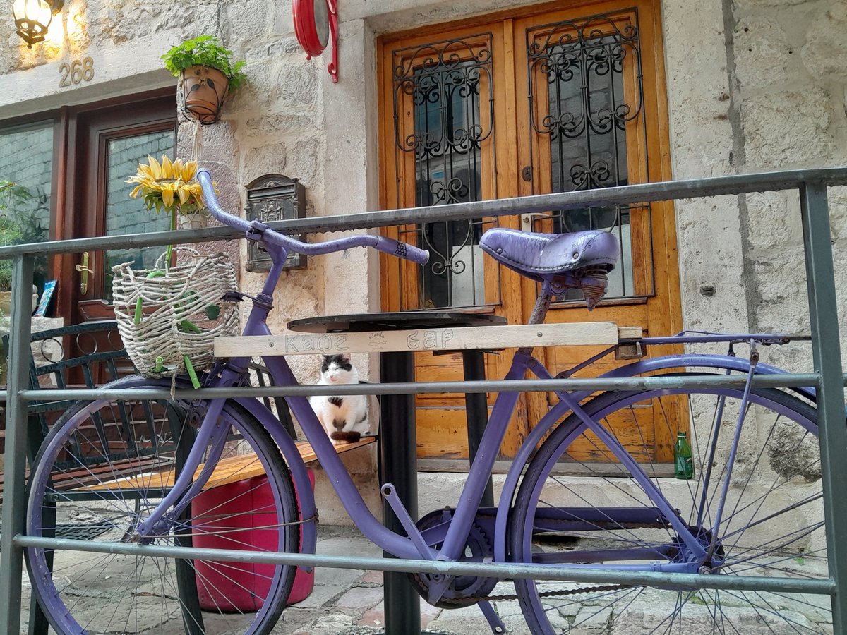 gulerkomurcu's tweet photo. Kotor'a bayildim #Montenegro eskiTaş evler, 1kişinin zarzor gecebildigi dar sokaklar,
başı dumanli karadag ve kentin adeta tanitimyüzü kediler🐈‍⬛ Turizm sezonu acilmadi ama sokaklar Avrupali turist kayniyor, limanda da kruz!
Ortaolcekli isletmelerin coguiseTürklerin,Türkce2.dil:) https://t.co/Ps5oh9CQSr